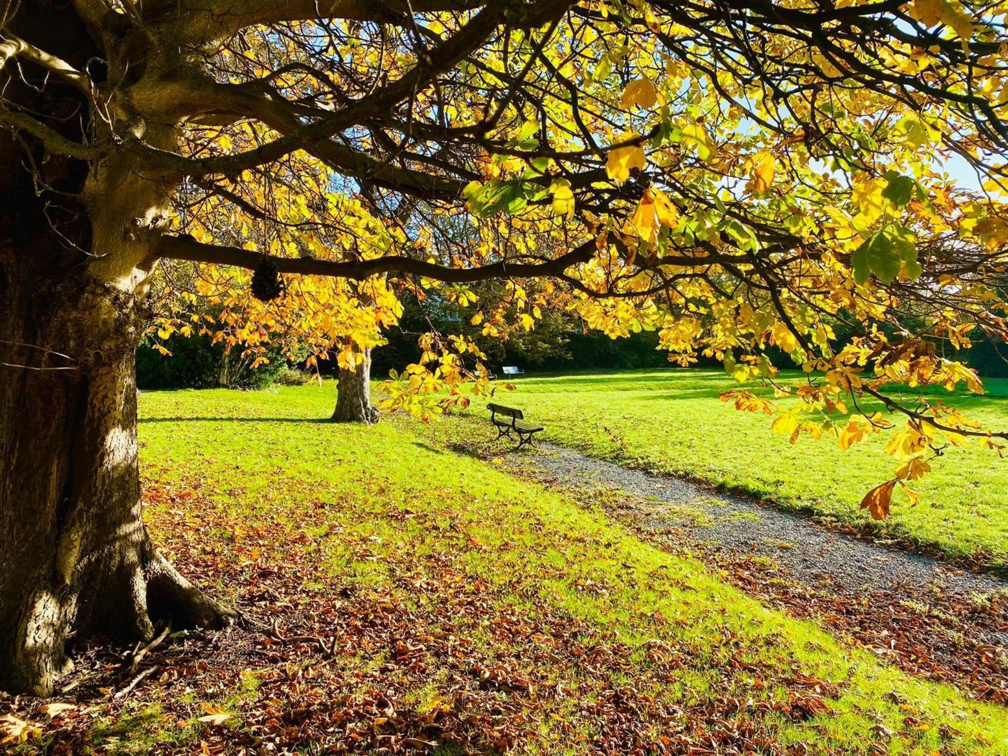 Endsleigh Park Hotel Кингстън ъпон Хъл Екстериор снимка
